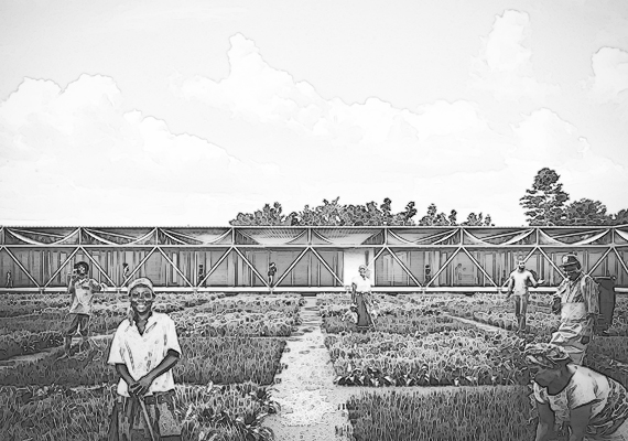 Propuesta para el concurso de la Young Architects Competition para 'Ghana Innovation Farm'. Obtención de mención honrosa.